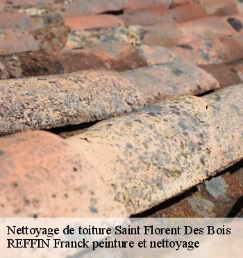 Nettoyage de toiture