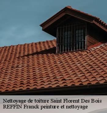Nettoyage de toiture