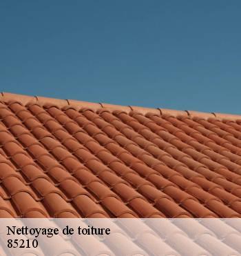 Nettoyage de toiture
