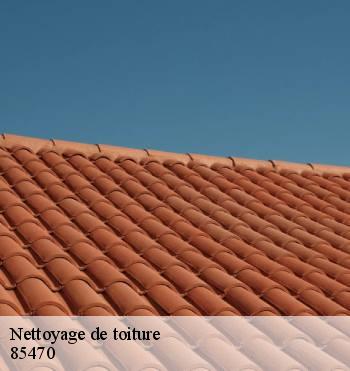 Nettoyage de toiture