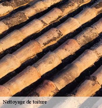 Nettoyage de toiture