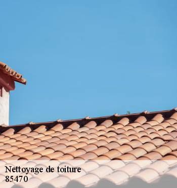 Nettoyage de toiture