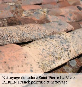 Nettoyage de toiture