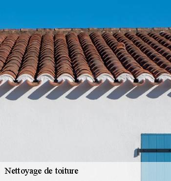 Nettoyage de toiture