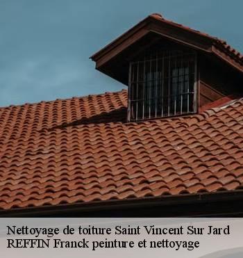 Nettoyage de toiture