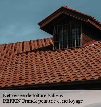 Nettoyage de toiture