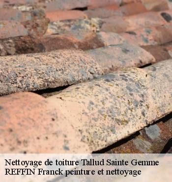 Nettoyage de toiture
