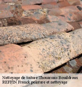 Nettoyage de toiture