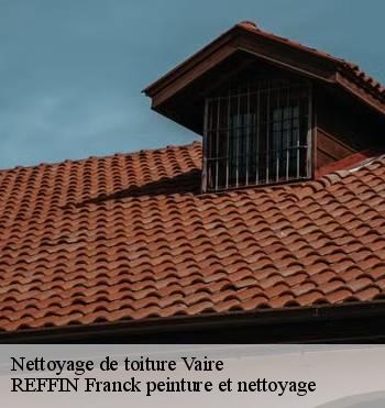 Nettoyage de toiture