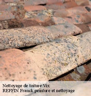 Nettoyage de toiture