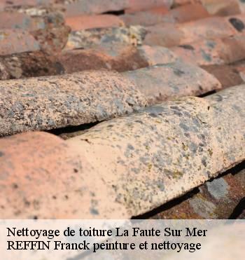 Nettoyage de toiture