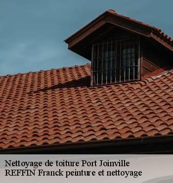 Nettoyage de toiture