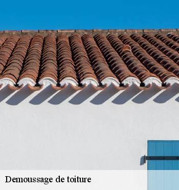 Demoussage de toiture
