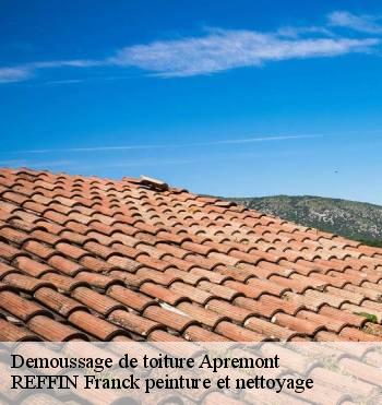 Demoussage de toiture