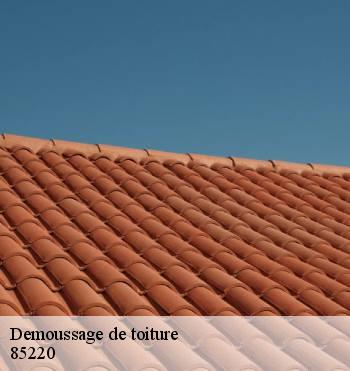 Demoussage de toiture