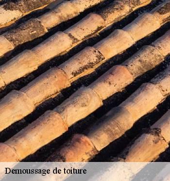 Demoussage de toiture