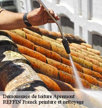 Demoussage de toiture