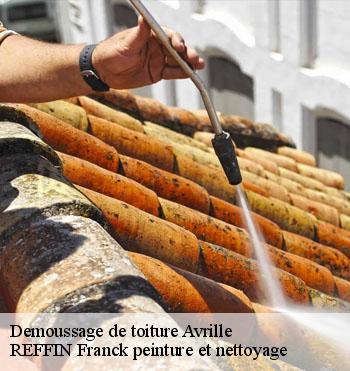 Demoussage de toiture