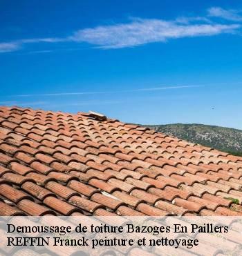 Demoussage de toiture