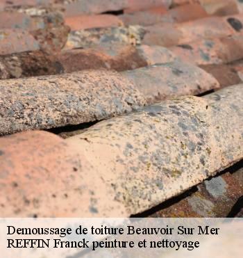 Demoussage de toiture