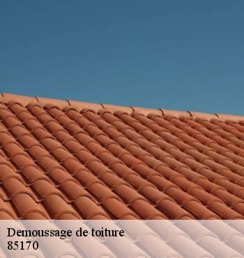 Demoussage de toiture