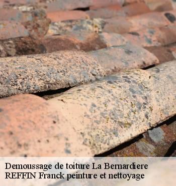 Demoussage de toiture