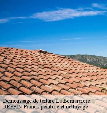 Demoussage de toiture