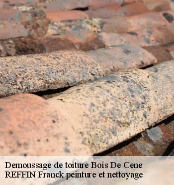 Demoussage de toiture
