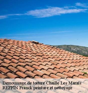 Demoussage de toiture