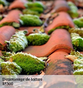 Demoussage de toiture