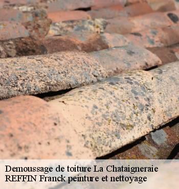 Demoussage de toiture