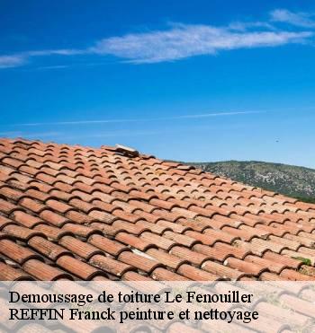 Demoussage de toiture
