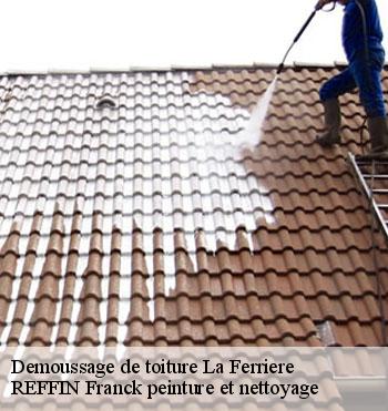 Demoussage de toiture