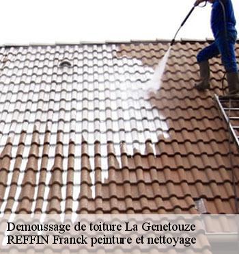 Demoussage de toiture