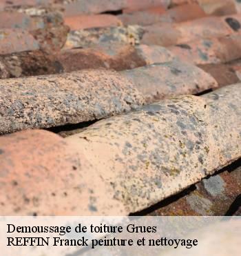 Demoussage de toiture