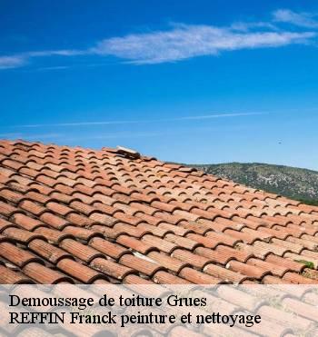 Demoussage de toiture