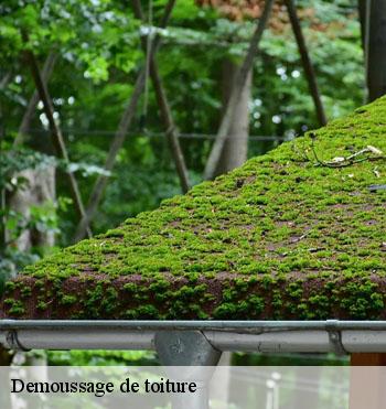 Demoussage de toiture
