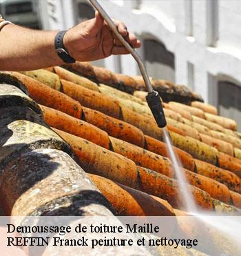 Demoussage de toiture