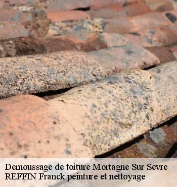 Demoussage de toiture