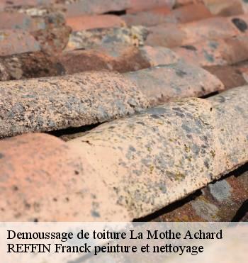 Demoussage de toiture