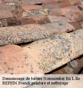 Demoussage de toiture