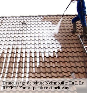 Demoussage de toiture