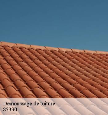 Demoussage de toiture