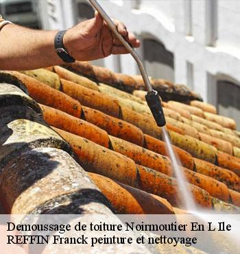Demoussage de toiture