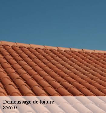 Demoussage de toiture