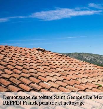 Demoussage de toiture