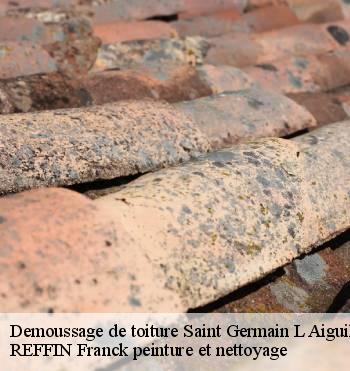 Demoussage de toiture
