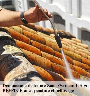 Demoussage de toiture