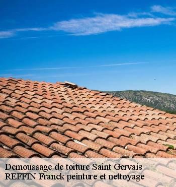 Demoussage de toiture