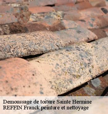 Demoussage de toiture
